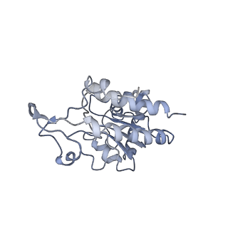 22466_7jt1_G_v1-1
70S ribosome stalled on long mRNA with ArfB-1 and ArfB-2 bound (+9-III)