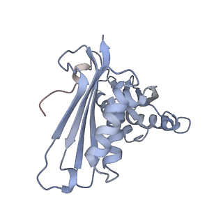 22466_7jt1_H_v1-1
70S ribosome stalled on long mRNA with ArfB-1 and ArfB-2 bound (+9-III)