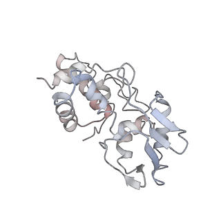 22466_7jt1_I_v1-0
70S ribosome stalled on long mRNA with ArfB-1 and ArfB-2 bound (+9-III)