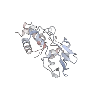 22466_7jt1_I_v1-1
70S ribosome stalled on long mRNA with ArfB-1 and ArfB-2 bound (+9-III)