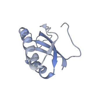 22466_7jt1_K_v1-0
70S ribosome stalled on long mRNA with ArfB-1 and ArfB-2 bound (+9-III)
