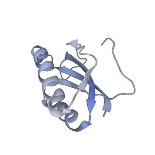 22466_7jt1_K_v1-1
70S ribosome stalled on long mRNA with ArfB-1 and ArfB-2 bound (+9-III)