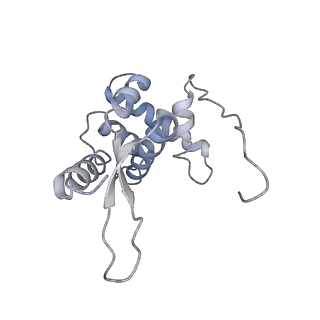 22466_7jt1_L_v1-0
70S ribosome stalled on long mRNA with ArfB-1 and ArfB-2 bound (+9-III)
