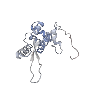 22466_7jt1_L_v1-1
70S ribosome stalled on long mRNA with ArfB-1 and ArfB-2 bound (+9-III)