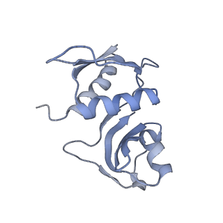22466_7jt1_M_v1-0
70S ribosome stalled on long mRNA with ArfB-1 and ArfB-2 bound (+9-III)