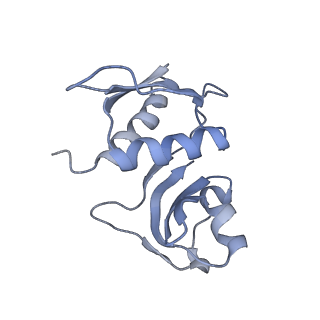 22466_7jt1_M_v1-1
70S ribosome stalled on long mRNA with ArfB-1 and ArfB-2 bound (+9-III)