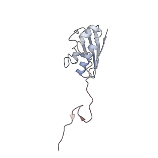 22466_7jt1_N_v1-0
70S ribosome stalled on long mRNA with ArfB-1 and ArfB-2 bound (+9-III)