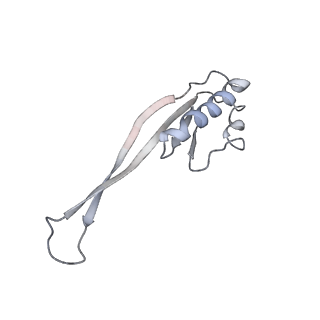 22466_7jt1_O_v1-1
70S ribosome stalled on long mRNA with ArfB-1 and ArfB-2 bound (+9-III)