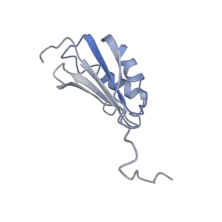 22466_7jt1_P_v1-0
70S ribosome stalled on long mRNA with ArfB-1 and ArfB-2 bound (+9-III)