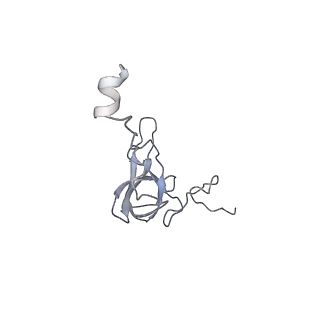 22466_7jt1_Q_v1-1
70S ribosome stalled on long mRNA with ArfB-1 and ArfB-2 bound (+9-III)