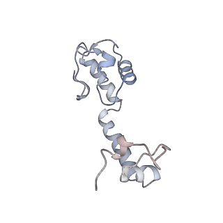 22466_7jt1_R_v1-0
70S ribosome stalled on long mRNA with ArfB-1 and ArfB-2 bound (+9-III)