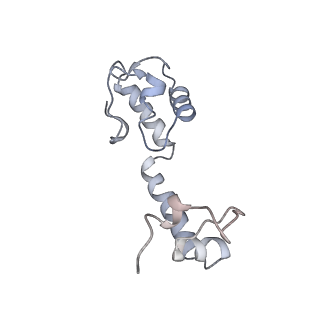 22466_7jt1_R_v1-1
70S ribosome stalled on long mRNA with ArfB-1 and ArfB-2 bound (+9-III)