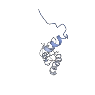 22466_7jt1_S_v1-0
70S ribosome stalled on long mRNA with ArfB-1 and ArfB-2 bound (+9-III)
