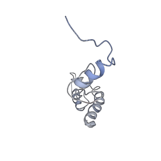 22466_7jt1_S_v1-1
70S ribosome stalled on long mRNA with ArfB-1 and ArfB-2 bound (+9-III)