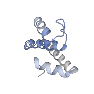 22466_7jt1_T_v1-0
70S ribosome stalled on long mRNA with ArfB-1 and ArfB-2 bound (+9-III)