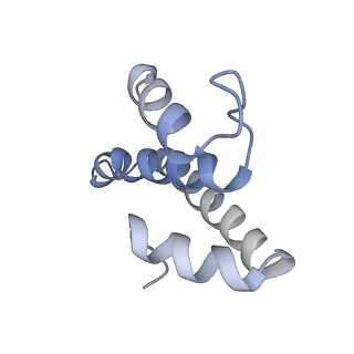 22466_7jt1_T_v1-1
70S ribosome stalled on long mRNA with ArfB-1 and ArfB-2 bound (+9-III)