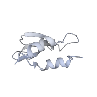 22466_7jt1_U_v1-0
70S ribosome stalled on long mRNA with ArfB-1 and ArfB-2 bound (+9-III)