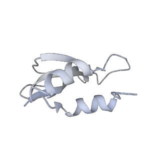 22466_7jt1_U_v1-1
70S ribosome stalled on long mRNA with ArfB-1 and ArfB-2 bound (+9-III)