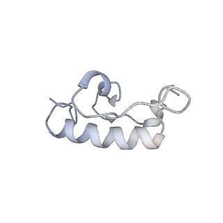 22466_7jt1_W_v1-0
70S ribosome stalled on long mRNA with ArfB-1 and ArfB-2 bound (+9-III)