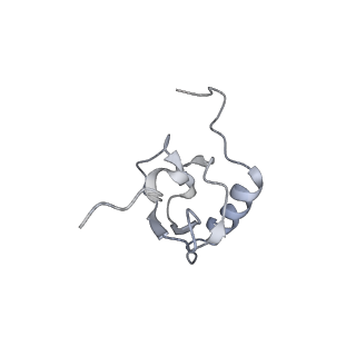 22466_7jt1_X_v1-0
70S ribosome stalled on long mRNA with ArfB-1 and ArfB-2 bound (+9-III)