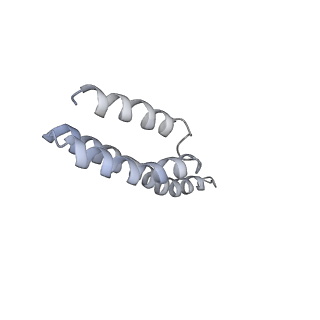 22466_7jt1_Y_v1-0
70S ribosome stalled on long mRNA with ArfB-1 and ArfB-2 bound (+9-III)