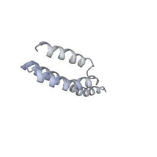 22466_7jt1_Y_v1-1
70S ribosome stalled on long mRNA with ArfB-1 and ArfB-2 bound (+9-III)