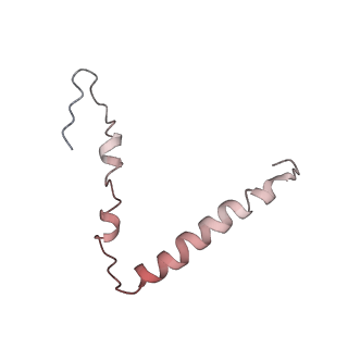 22466_7jt1_Z_v1-0
70S ribosome stalled on long mRNA with ArfB-1 and ArfB-2 bound (+9-III)
