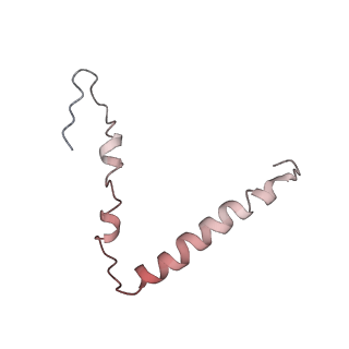 22466_7jt1_Z_v1-1
70S ribosome stalled on long mRNA with ArfB-1 and ArfB-2 bound (+9-III)