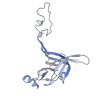 22466_7jt1_c_v1-0
70S ribosome stalled on long mRNA with ArfB-1 and ArfB-2 bound (+9-III)