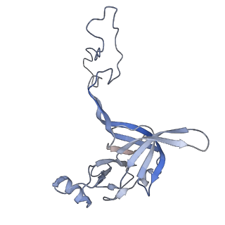 22466_7jt1_c_v1-1
70S ribosome stalled on long mRNA with ArfB-1 and ArfB-2 bound (+9-III)