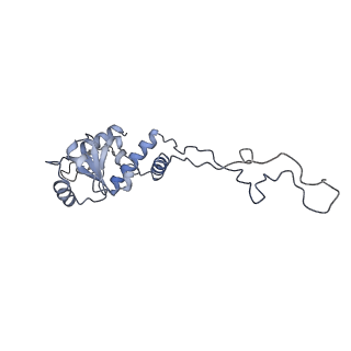 22466_7jt1_d_v1-0
70S ribosome stalled on long mRNA with ArfB-1 and ArfB-2 bound (+9-III)