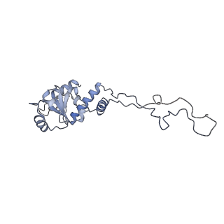 22466_7jt1_d_v1-1
70S ribosome stalled on long mRNA with ArfB-1 and ArfB-2 bound (+9-III)