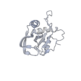 22466_7jt1_e_v1-1
70S ribosome stalled on long mRNA with ArfB-1 and ArfB-2 bound (+9-III)