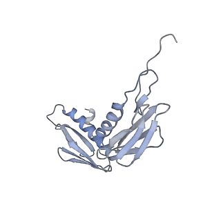 22466_7jt1_f_v1-1
70S ribosome stalled on long mRNA with ArfB-1 and ArfB-2 bound (+9-III)