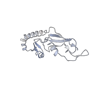 22466_7jt1_g_v1-1
70S ribosome stalled on long mRNA with ArfB-1 and ArfB-2 bound (+9-III)