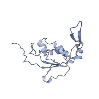 22466_7jt1_j_v1-0
70S ribosome stalled on long mRNA with ArfB-1 and ArfB-2 bound (+9-III)