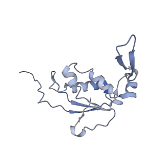 22466_7jt1_j_v1-1
70S ribosome stalled on long mRNA with ArfB-1 and ArfB-2 bound (+9-III)