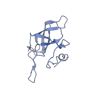 22466_7jt1_k_v1-1
70S ribosome stalled on long mRNA with ArfB-1 and ArfB-2 bound (+9-III)