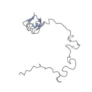 22466_7jt1_l_v1-1
70S ribosome stalled on long mRNA with ArfB-1 and ArfB-2 bound (+9-III)