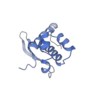 22466_7jt1_n_v1-1
70S ribosome stalled on long mRNA with ArfB-1 and ArfB-2 bound (+9-III)