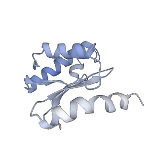 22466_7jt1_o_v1-0
70S ribosome stalled on long mRNA with ArfB-1 and ArfB-2 bound (+9-III)