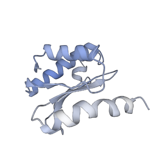 22466_7jt1_o_v1-1
70S ribosome stalled on long mRNA with ArfB-1 and ArfB-2 bound (+9-III)