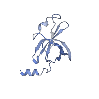 22466_7jt1_p_v1-0
70S ribosome stalled on long mRNA with ArfB-1 and ArfB-2 bound (+9-III)