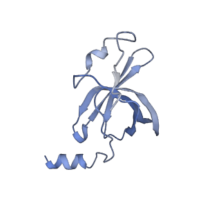 22466_7jt1_p_v1-1
70S ribosome stalled on long mRNA with ArfB-1 and ArfB-2 bound (+9-III)