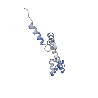 22466_7jt1_q_v1-0
70S ribosome stalled on long mRNA with ArfB-1 and ArfB-2 bound (+9-III)