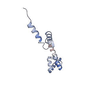 22466_7jt1_q_v1-1
70S ribosome stalled on long mRNA with ArfB-1 and ArfB-2 bound (+9-III)