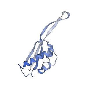 22466_7jt1_s_v1-1
70S ribosome stalled on long mRNA with ArfB-1 and ArfB-2 bound (+9-III)