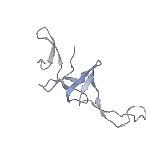 22466_7jt1_u_v1-0
70S ribosome stalled on long mRNA with ArfB-1 and ArfB-2 bound (+9-III)