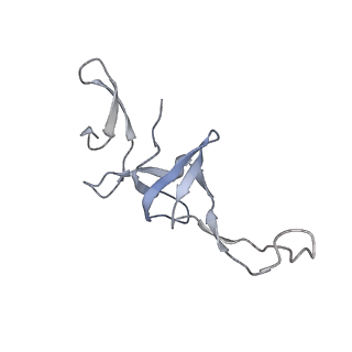 22466_7jt1_u_v1-1
70S ribosome stalled on long mRNA with ArfB-1 and ArfB-2 bound (+9-III)