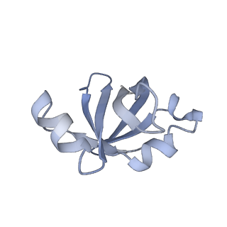 22466_7jt1_v_v1-1
70S ribosome stalled on long mRNA with ArfB-1 and ArfB-2 bound (+9-III)